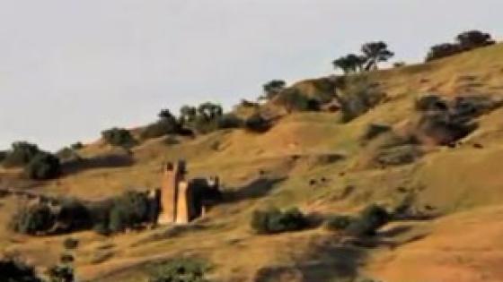 Fox 40 - Town of Cement Ruins