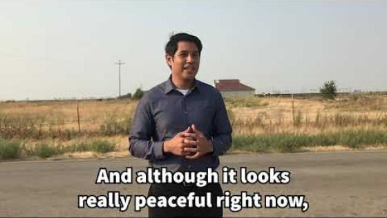 Solano Stories: The Vacaville Pruners Strike