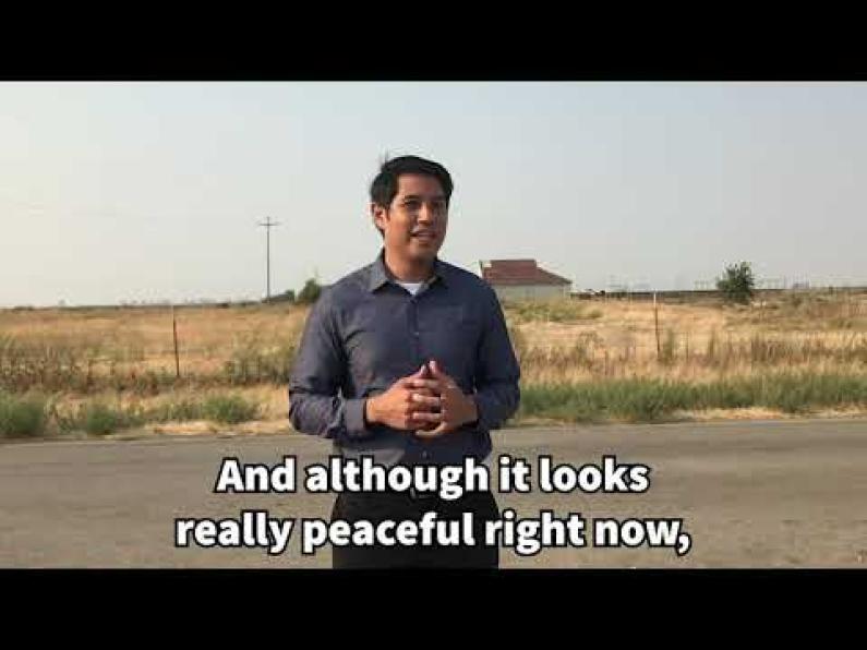 Solano Stories: The Vacaville Pruners Strike